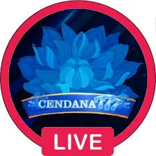 CENDANA777 - Pertempuran Terbesar di Dunia Battle Royale